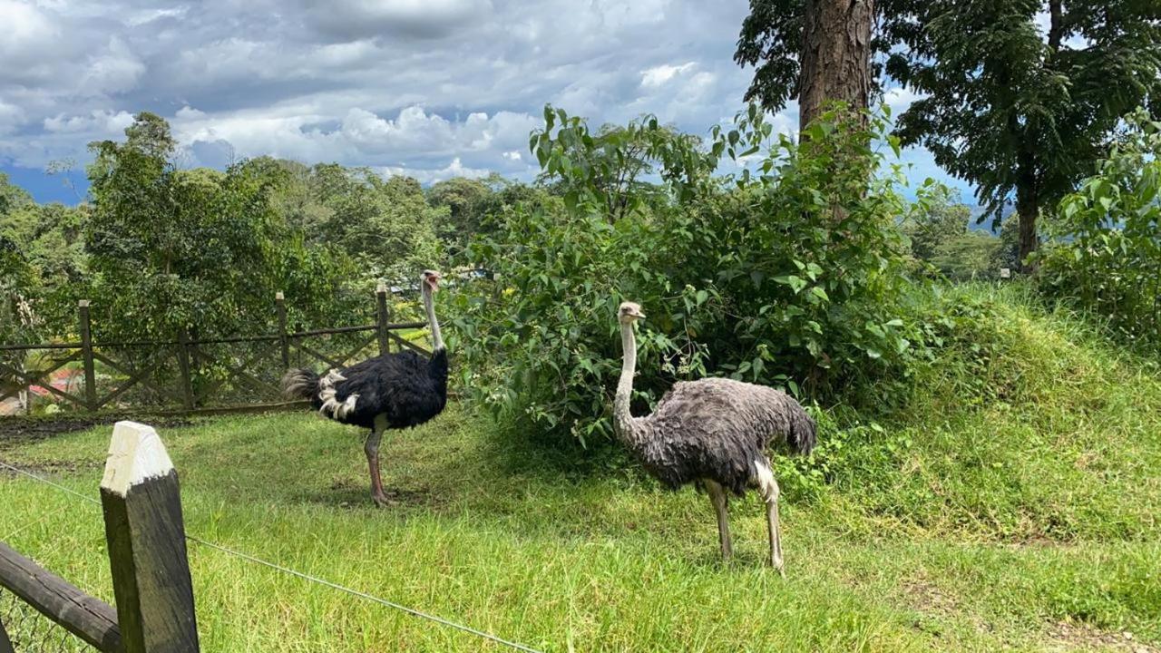 Rancho Ecoturistico El Faro Hotel ลาเมซา ภายนอก รูปภาพ