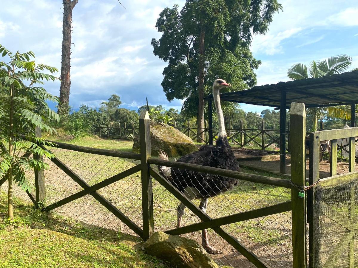Rancho Ecoturistico El Faro Hotel ลาเมซา ภายนอก รูปภาพ